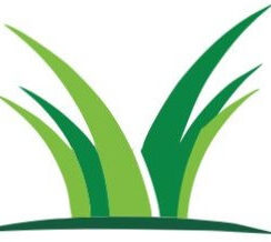 www.umetna-trava.com